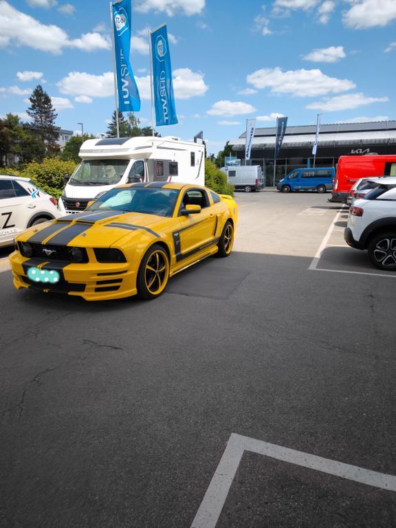 Mustang