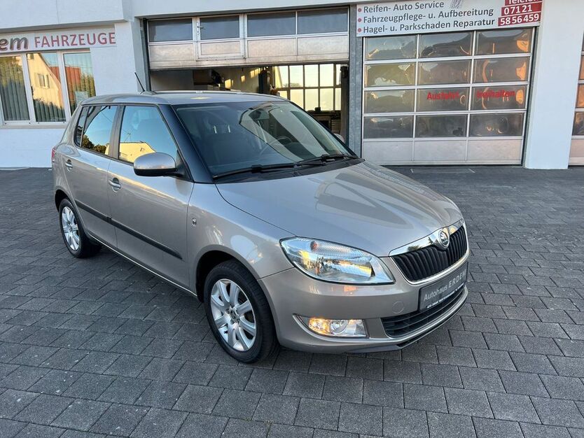 Skoda Fabia 137.000 km 4.900 € Reutlingen 72768