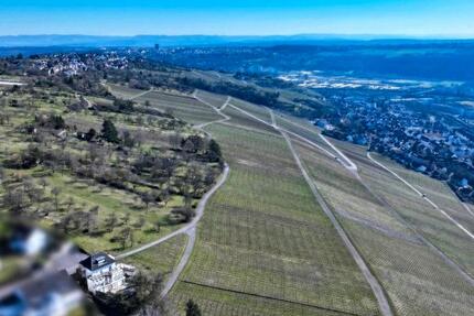 1 Zimmer wohnung Möbelierte Möbliert ruhiger Lage Esslingen Rüder 1 zimmer
