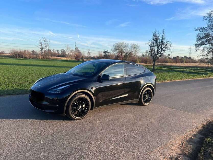 Model Y
