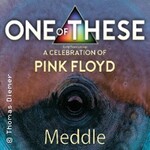 One of These Pink Floyd Tributes - Meddle