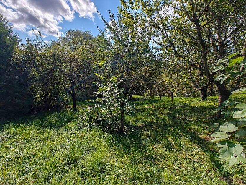 Obstwiese mit Hütte am Fuße der Achalm zu verkaufen