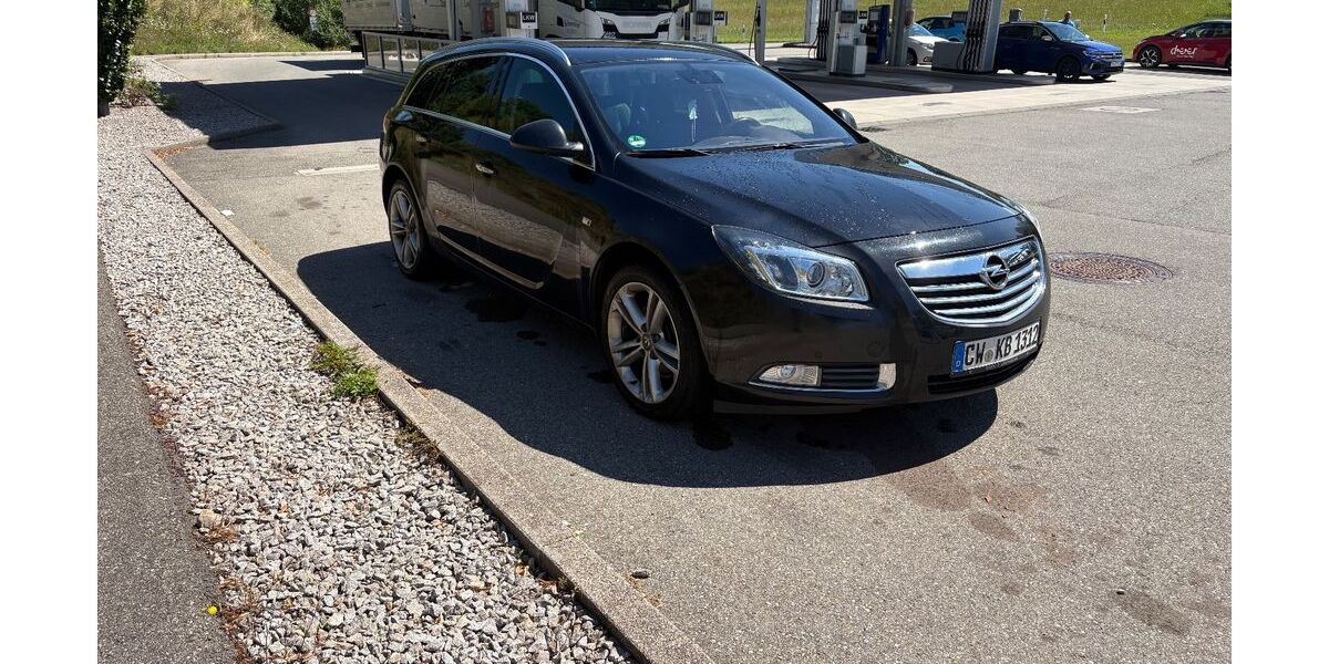 Opel Insignia 129.115 km 6.350 &euro; Wildberg 72218