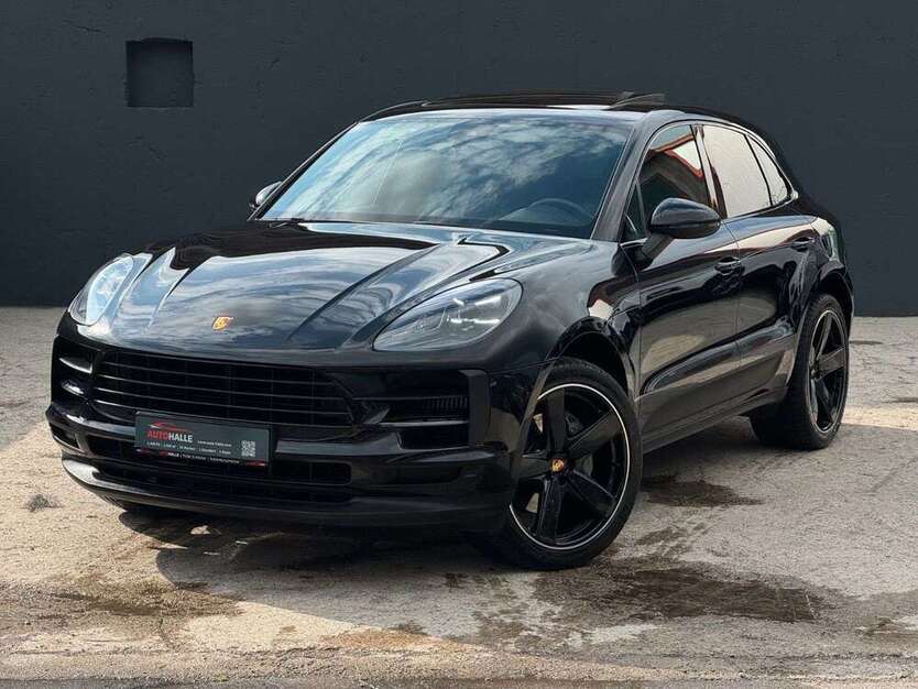 Macan