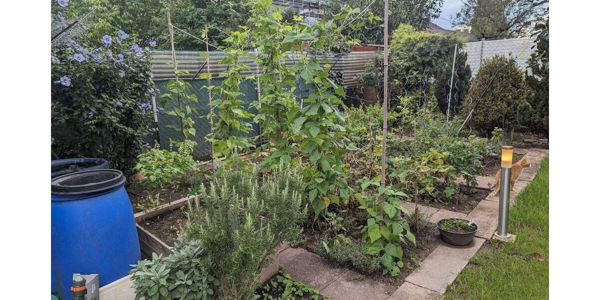 Doppelhaushälfte Böblingen - 1 Zimmer, 254 m&sup2;, 1.150.000&euro; | Angebot:25779091