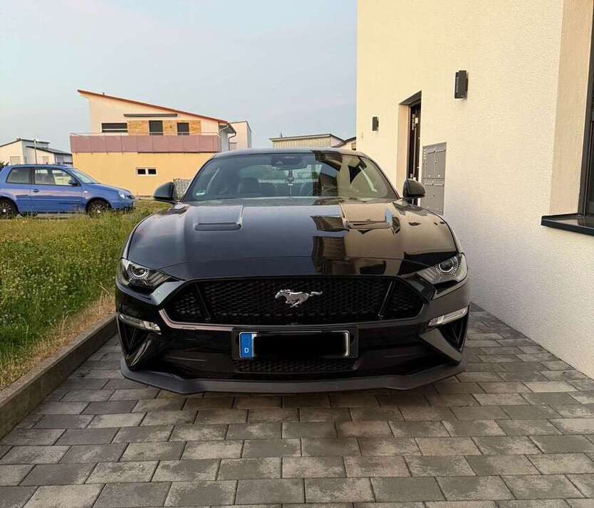 Mustang