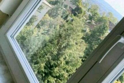 Wohnung Pforzheim Nordstadt - 1 Zimmer, 20 m&sup2;, 300&euro; | Angebot:19237501