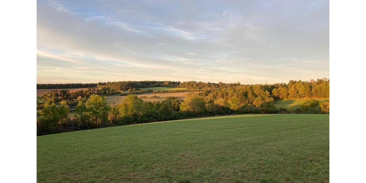 Einfamilienhaus Weil der Stadt - 8 Zimmer, 205 m&sup2;, 845.000&euro; | Angebot:24741220