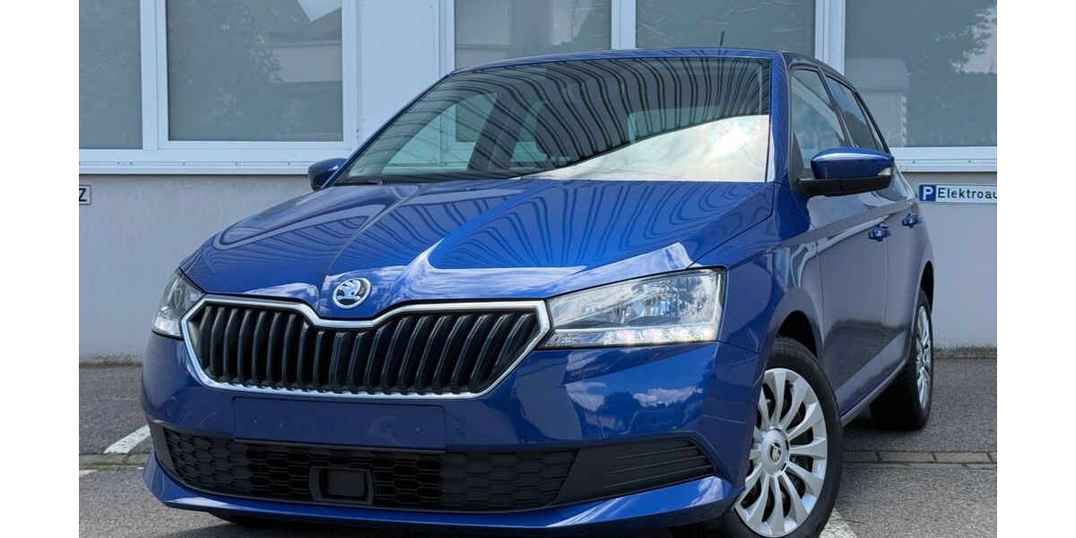 Skoda Fabia 54.917 km 10.450 &euro; Mühlacker 75417