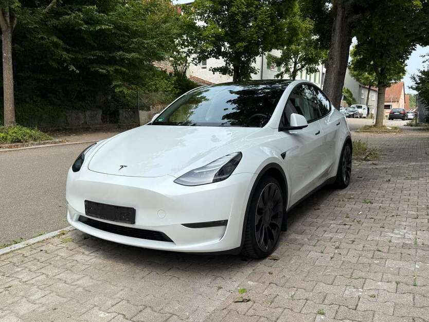 Model Y