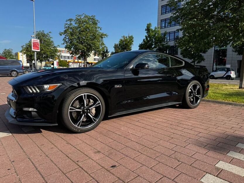 Mustang
