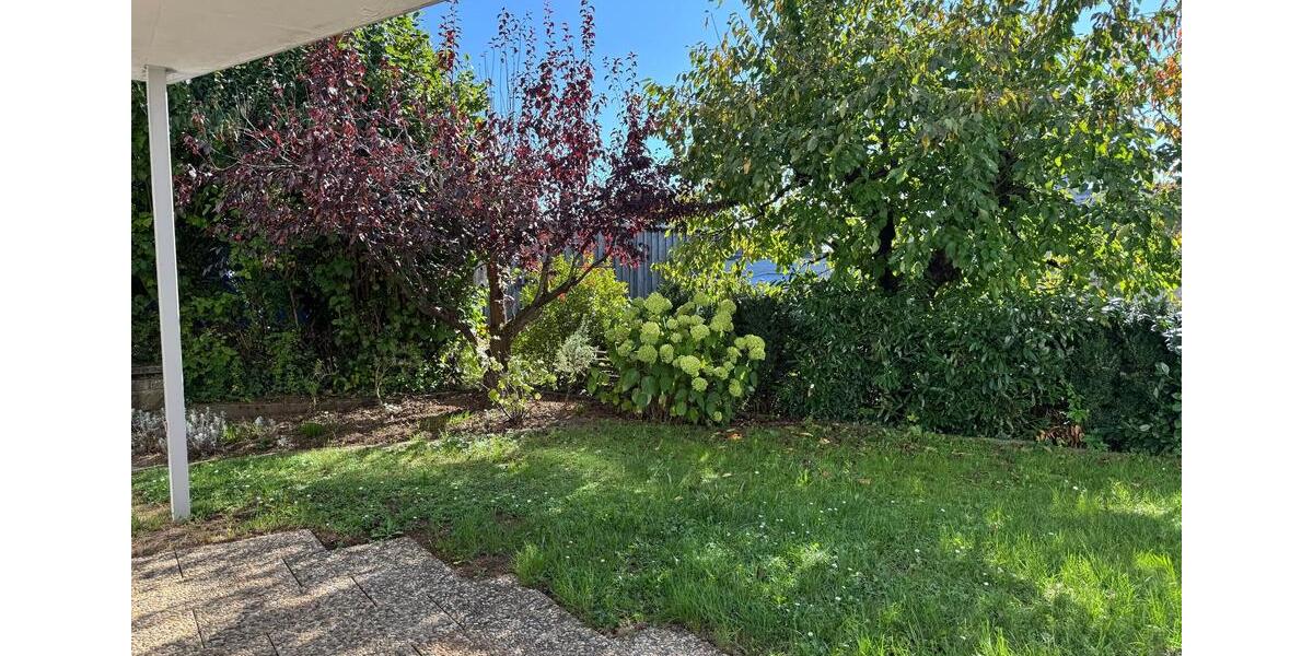 Helle, freundliche Wohnung - ideal für Paare 3 zimmer