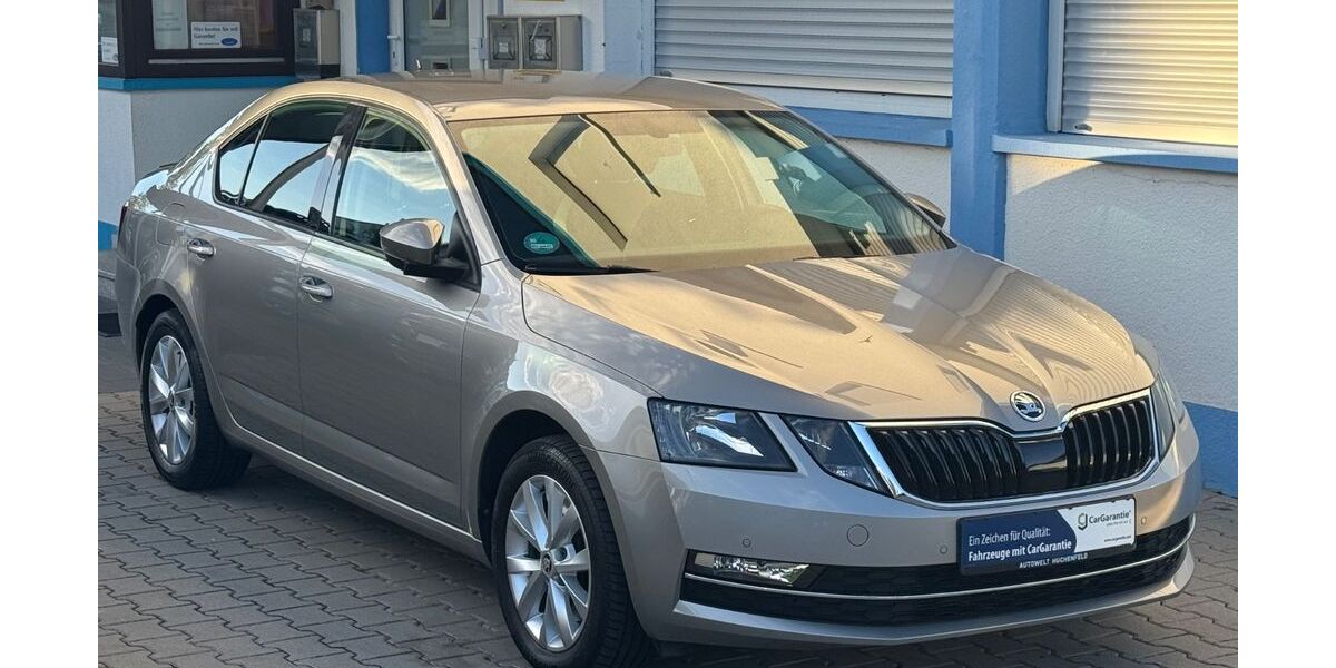 Skoda Octavia 100.000 km 16.800 &euro; pforzheim 75181