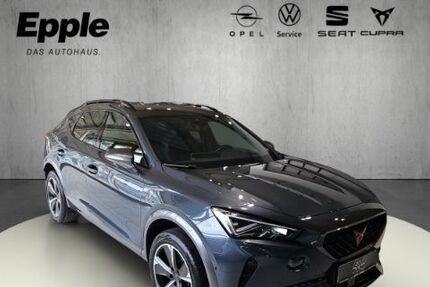 Cupra Formentor 40.314 km 25.890 &euro; Rutesheim 71277