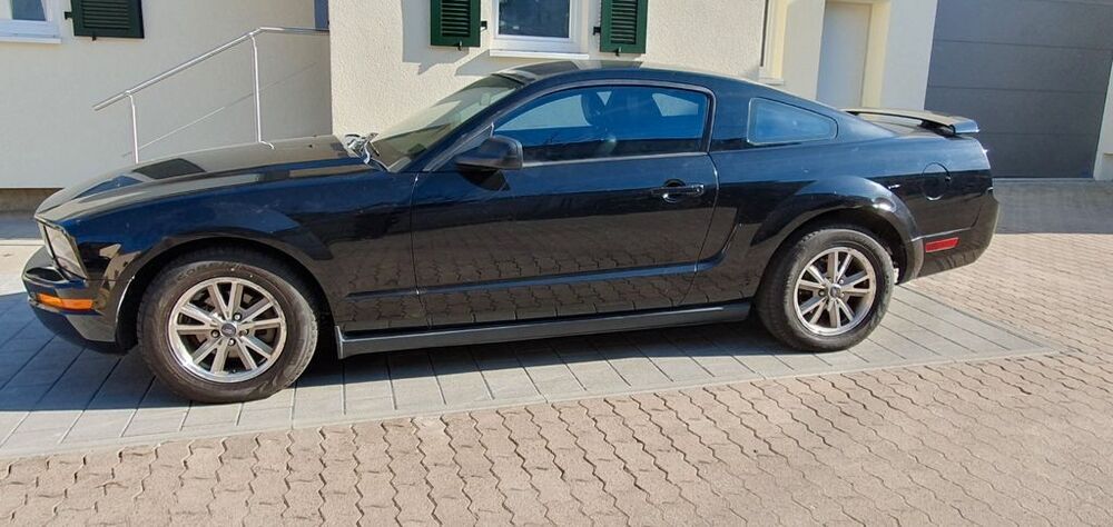 Mustang