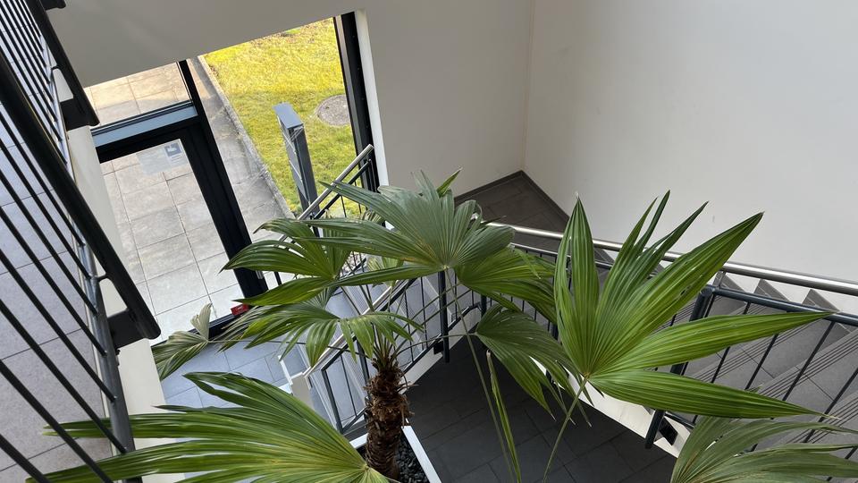 Gewerbeobjekt Asperg - 2.600&euro; | Angebot:26383078