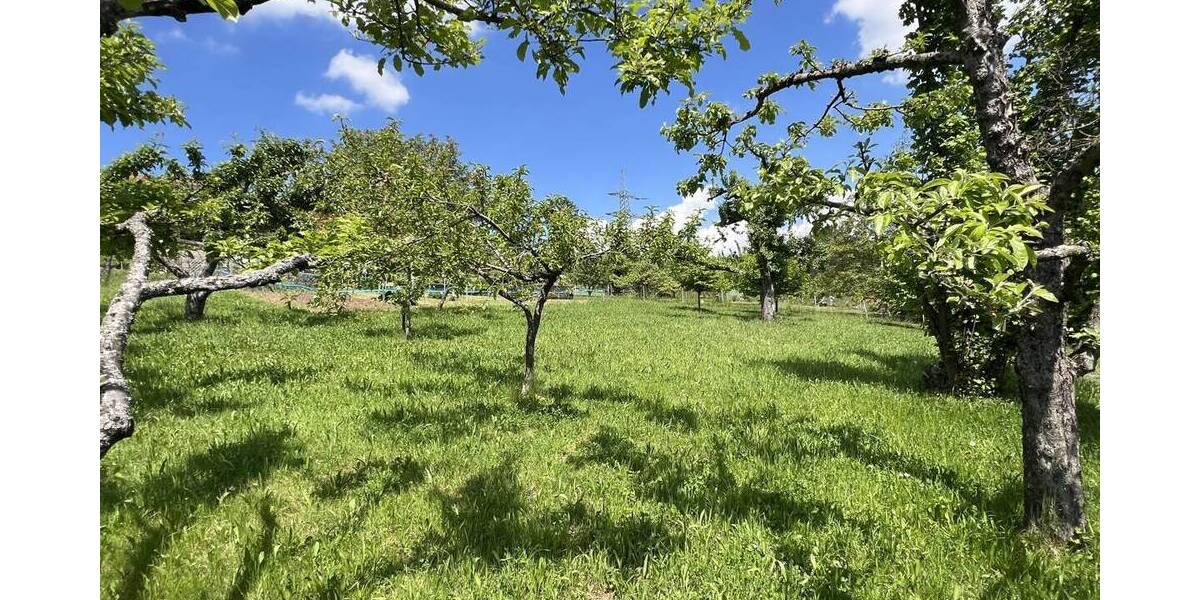 Grundstück Esslingen am Neckar / Liebersbronn Liebersbronn - 649.000&euro; | Angebot:26724047