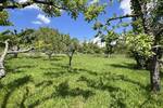 Grundstück Esslingen am Neckar / Liebersbronn Liebersbronn - 649.000&euro; | Angebot:26724047