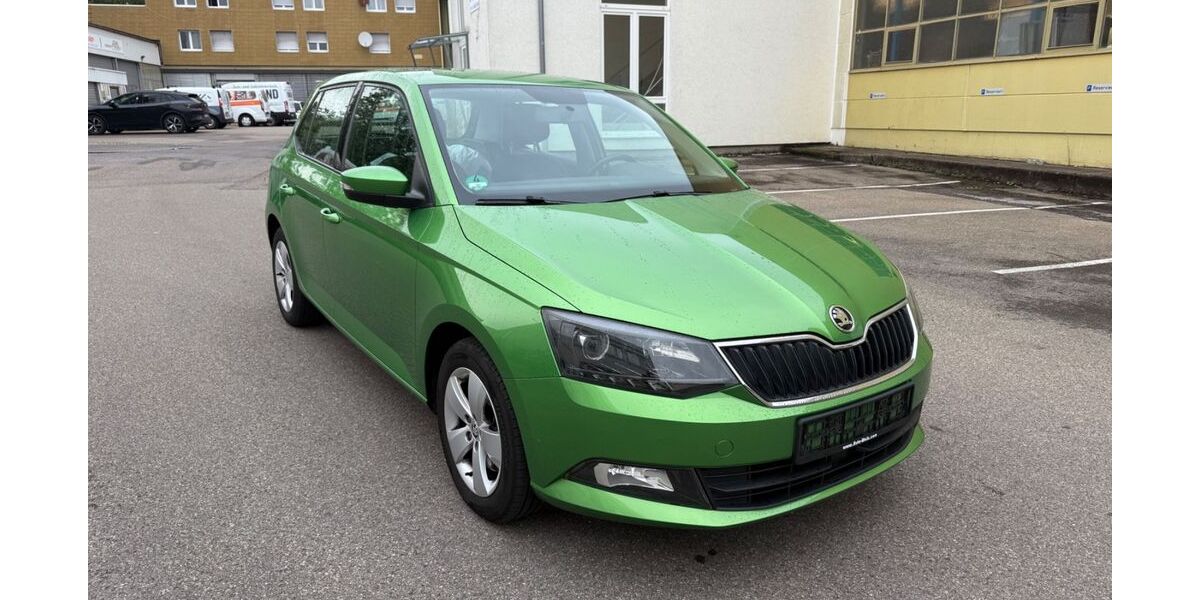 Skoda Fabia 118.950 km 7.850 &euro; Möglingen 71696