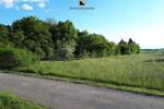 Vielfältiges Gartengrundstück in Altingen-991?m² für Naturgenuss, Gartenfreude und kreative Projekte