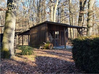 ROHDIAMANT FÜR IHR TRAUMHAUS zimmer