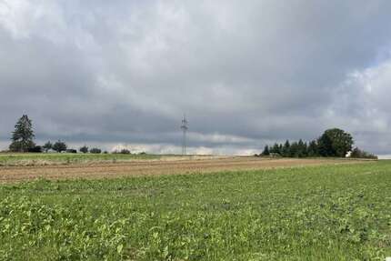 Grundstück zu verkaufen in Weil im Schönbuch 356.800 € 1784 m² zimmer