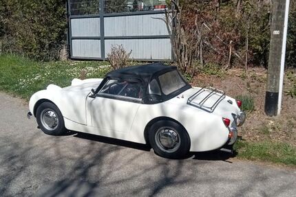 Austin Healey Andere