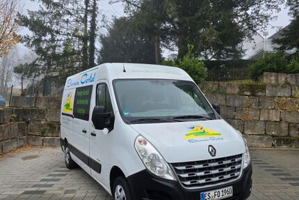 Renault Master 133.025 km 10.500 € Neuhausen 73765