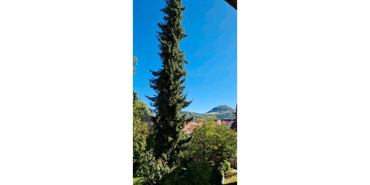 Etagenwohnung Reutlingen Reutlingen (Kernstadt) - 4 Zimmer, 143 m&sup2;, 1.850&euro; | Angebot:24704771