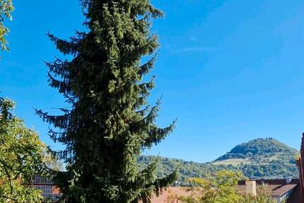 Wohnung Reutlingen Reutlingen (Kernstadt) - 4 Zimmer, 143 m&sup2;, 1.850&euro; | Angebot:24704771