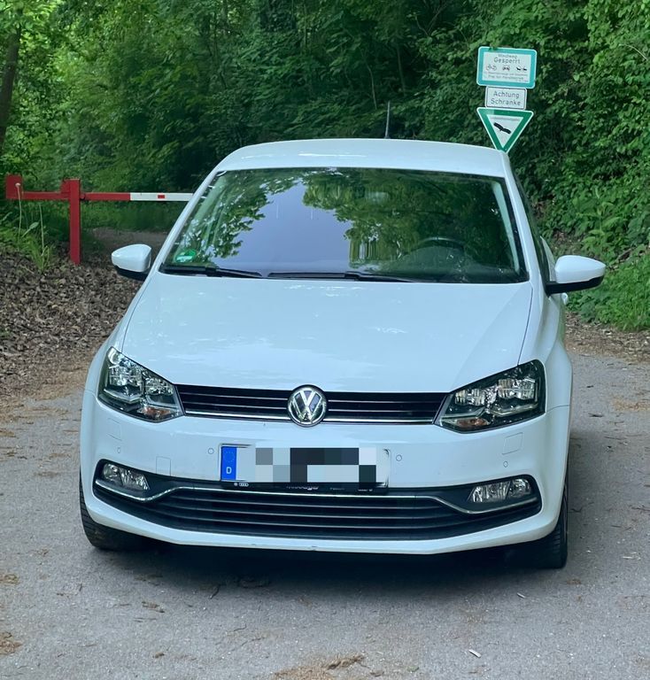 Polo