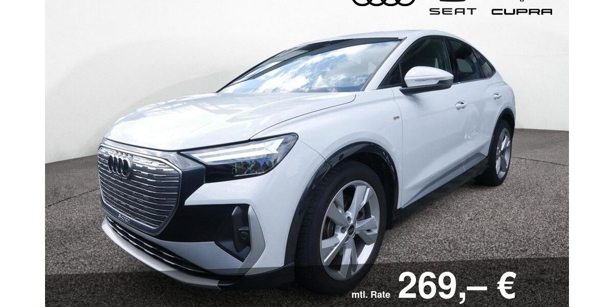 Audi Q4 e-tron 53.300 km 28.890 &euro; Bietigheim-Bissingen 74321