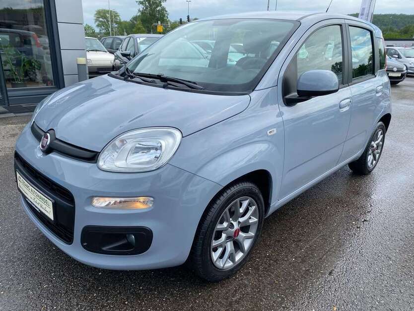 Panda