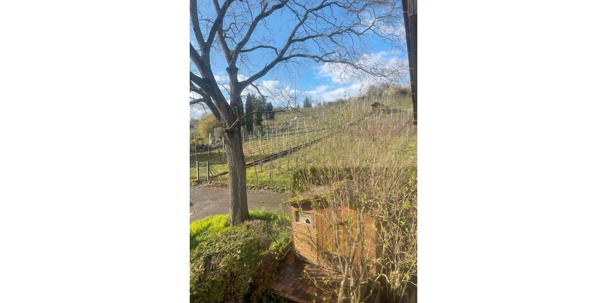 Erdgeschoßwohnung Ludwigsburg Hoheneck - 1.5 Zimmer, 32 m&sup2;, 690&euro; | Angebot:25980519