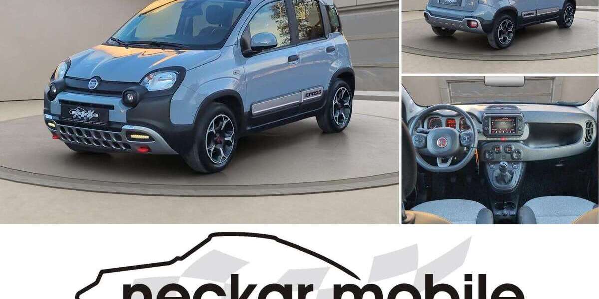 Fiat Panda 29.354 km 12.490 &euro; Tübingen 72074