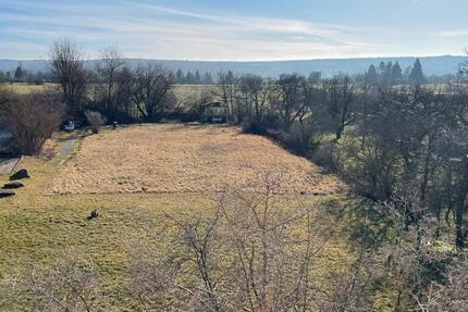 Wohnung Pforzheim Nordstadt - 2 Zimmer, 46 m&sup2;, 750&euro; | Angebot:24750383