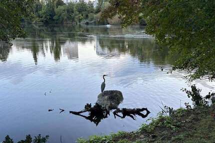 Wohnung zum Kaufen in Stuttgart 299.000 € 77 m² 3 zimmer