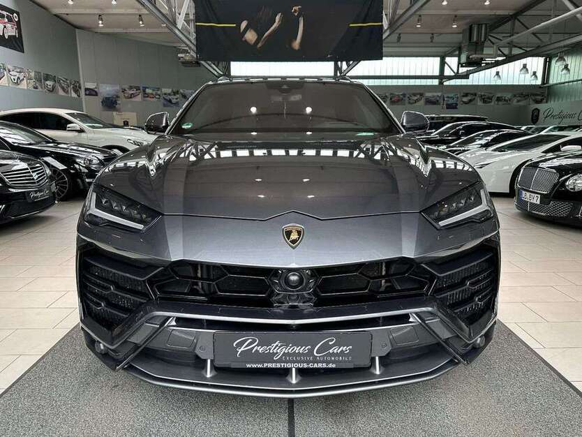 Urus