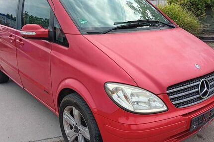 Mercedes Viano