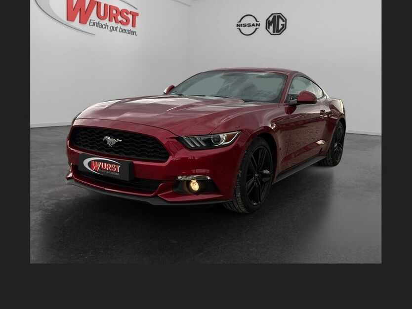 Mustang