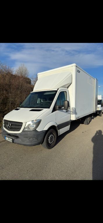 Sprinter