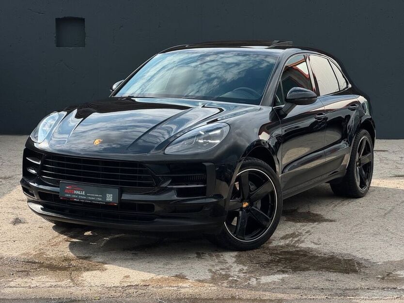Macan