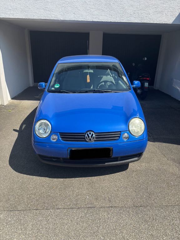 Lupo
