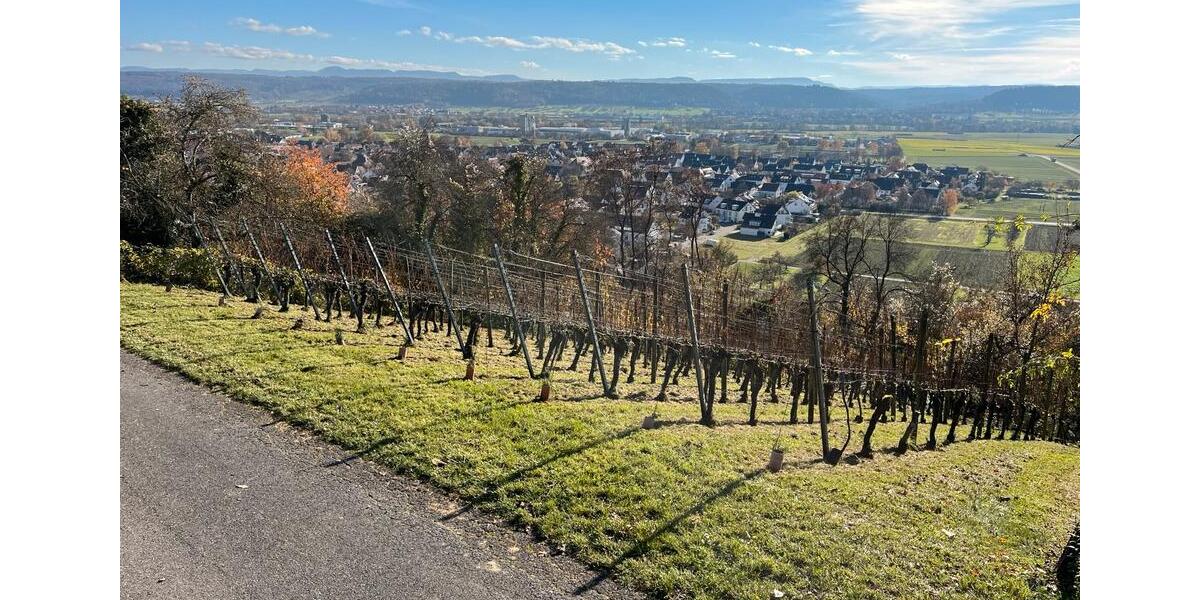 Grundstück Tübingen - 55.000&euro; | Angebot:24101823