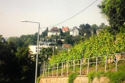 Wohnung Stuttgart Stuttgart-Nord - 1 Zimmer, 20 m&sup2;, 100&euro; | Angebot:24526370