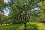 Obstwiese mit Hütte am Fuße der Achalm zu verkaufen