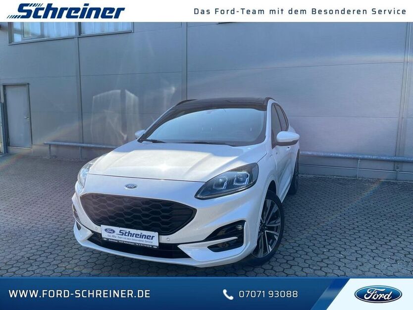 Kuga