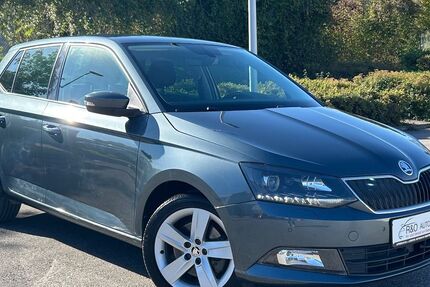 Skoda Fabia 117.000 km 8.950 € Wendlingen 73240