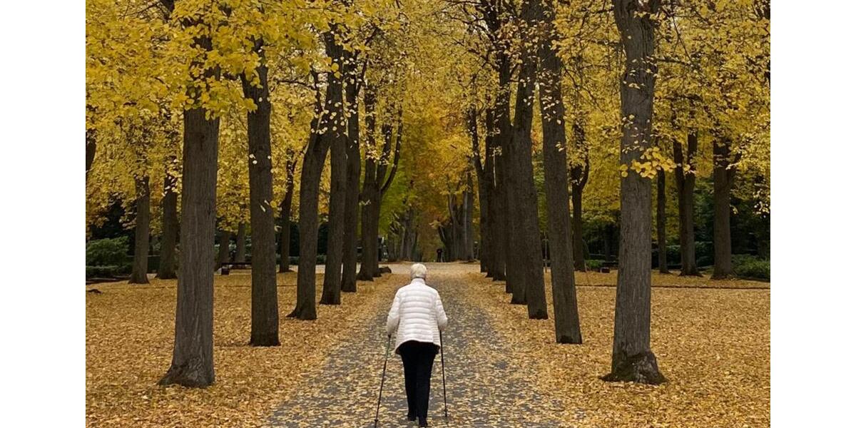 Erdgeschoßwohnung Pforzheim Eutingen - 2 Zimmer, 46 m&sup2;, 389&euro; | Angebot:24474937