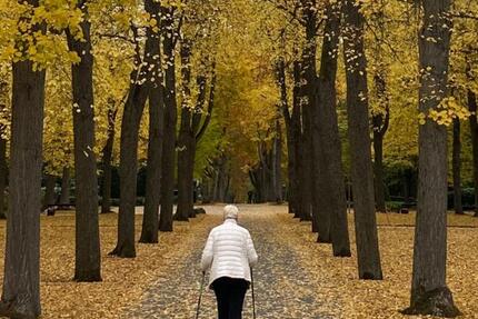 Wohnung Pforzheim Eutingen - 2 Zimmer, 46 m&sup2;, 389&euro; | Angebot:24474937